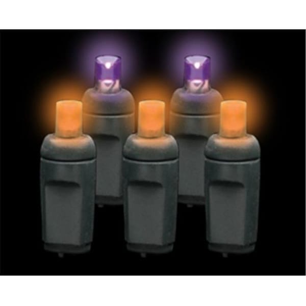 Reinders 5MM50PO-F Premium Grade 5MM 50 LED Purple/Orange Frost Holiday Lights String with Black Wire 5MM50PO-F - main